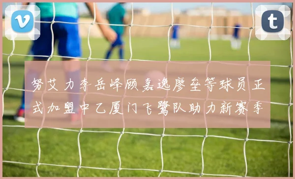 努艾力李岳峰顾嘉逸廖垒等球员正式加盟中乙厦门飞鹭队助力新赛季
