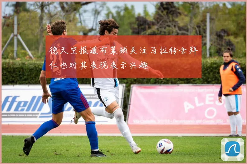 德天空报道布莱顿关注马拉转会拜仁也对其表现表示兴趣